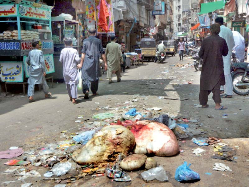 offals of sacrificial animals lying on a street causing foul odour in the area photo express