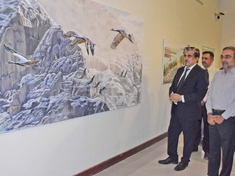 interim federal minister of national heritage and culture jamal shah takes a keen interest in the wildlife art exhibition inaugurated at the pnca in the federal capital photo online
