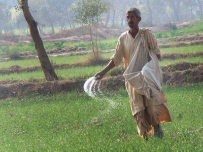 urea prices reduced by rs375 per bag