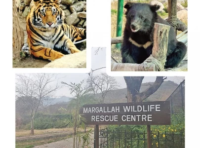 iwmb to restore public access to scenic hilltop