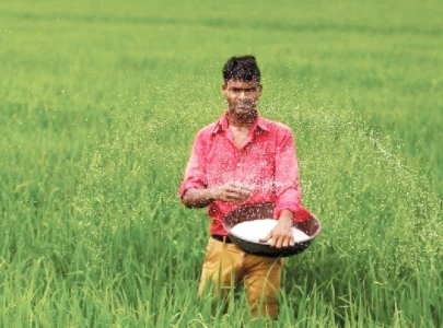 govt considers allowing urea price hike govt considers allowing urea price hike