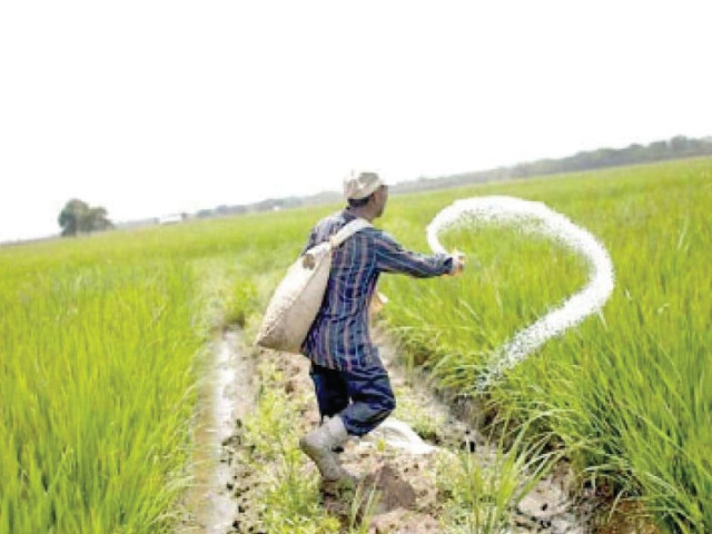 the agriculture sector contributes 22 7 to pakistan s gdp the overall size of the national economy where fertiliser is a vital input with average consumption of 207 kg per hectare photo file the agriculture sector contributes 22 7 to pakistan s gdp the overall size of the national economy where fertiliser is a vital input with average consumption of 207 kg per hectare photo file