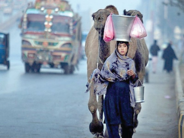 sadly sindh and balochistan lack chiller facilities resulting in female camel milk being sold at rs50 litre with few buyers yet imported female camel milk is sold at local supermarkets here for rs2 000 litre due to its health benefits photo reuters sadly sindh and balochistan lack chiller facilities resulting in female camel milk being sold at rs50 litre with few buyers yet imported female camel milk is sold at local supermarkets here for rs2 000 litre due to its health benefits photo reuters