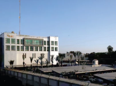 govt reviews ke model for discos