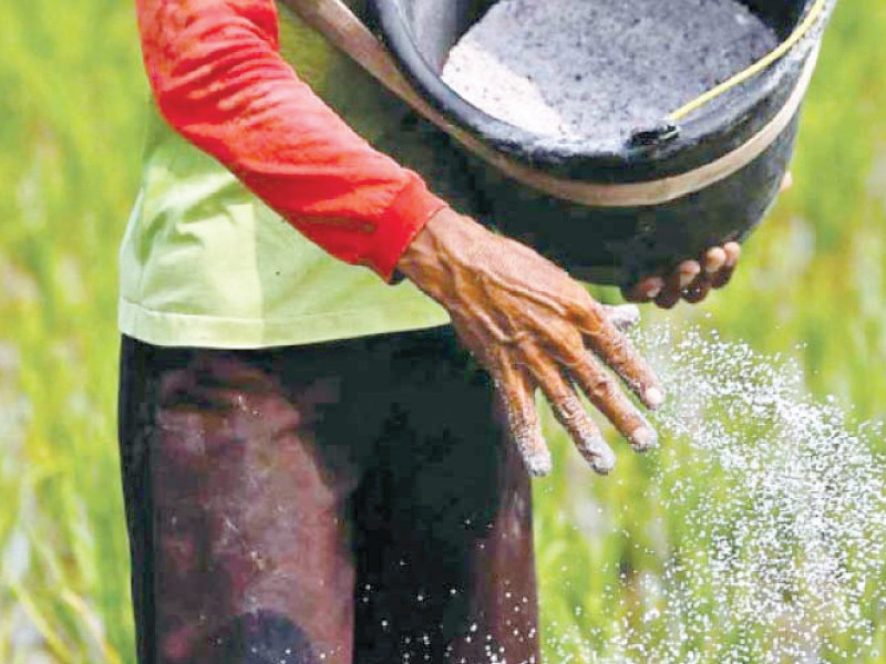 complaints were being received that fertiliser companies and dealers were forcing farmers to buy di ammonium phosphate dap with urea photo file