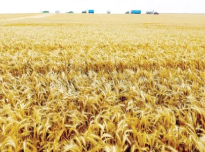 economic policies confusion prevails