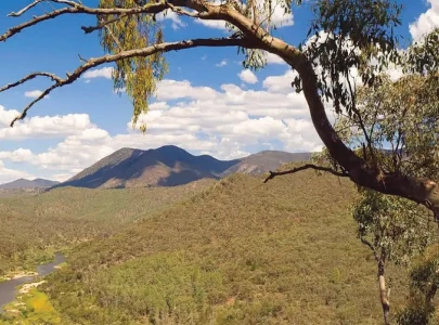 12 000 year old ritual still ongoing study 12 000 year old ritual still ongoing study