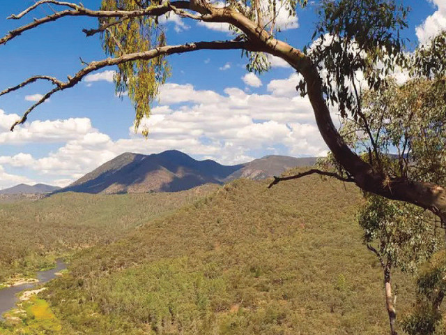 excavations in southeastern australian caves led to the findings photo file excavations in southeastern australian caves led to the findings photo file