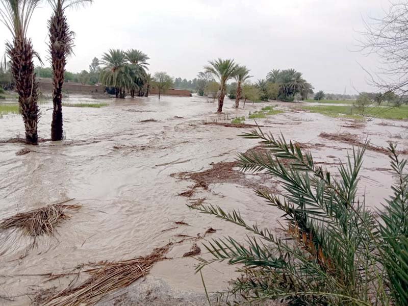 rains caused heavy floods in di khan tank and south waziristan photo express