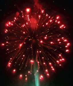 ban on fireworks at weddings in hyd goes up in smoke ban on fireworks at weddings in hyd goes up in smoke