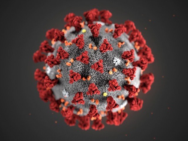 a 57 year old woman dies in poland due to the new type of coronavirus photo reuters