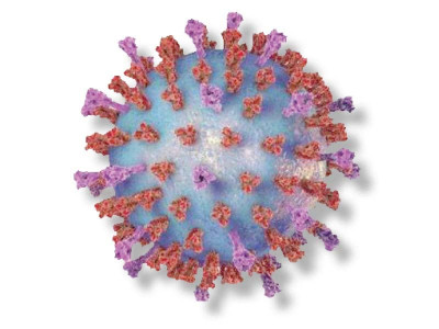 leas issue alert as fear of virus takes lahore by storm