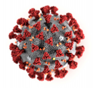 seven suspected coronavirus cases reported in k p seven suspected coronavirus cases reported in k p