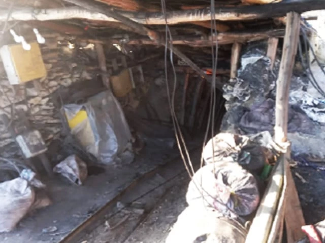 tribune tribune