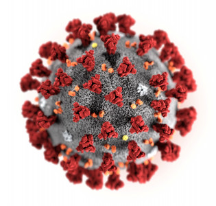 coronavirus cases rise to 16 in k p coronavirus cases rise to 16 in k p