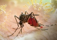 global warming expands spread of tbe chikungunya
