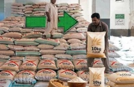 over 10kg flour bags to be banned