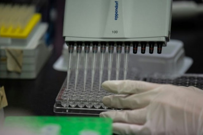 pharma chiefs expect coronavirus vaccine in 12 18 months pharma chiefs expect coronavirus vaccine in 12 18 months