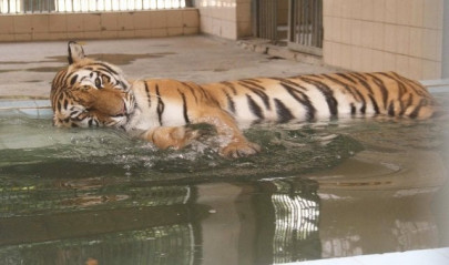 karachi hit by heatwave as temperature reaches 44 c karachi hit by heatwave as temperature reaches 44 c