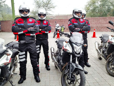 rogue dolphin squad on track to become trigger happy force rogue dolphin squad on track to become trigger happy force