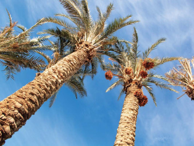 chew on this date prices go up but earnings of local industry go down chew on this date prices go up but earnings of local industry go down