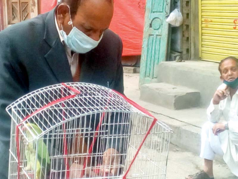lockdown leaves dozens of pets trapped in rawalpindi