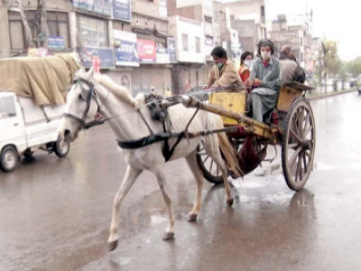 back to basics equine carriages save the day back to basics equine carriages save the day