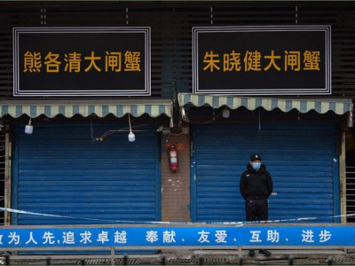 shrimp seller at wuhan market identified as covid 19 patient zero shrimp seller at wuhan market identified as covid 19 patient zero