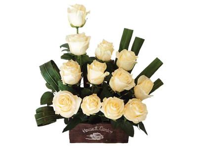 top drawer top drawer