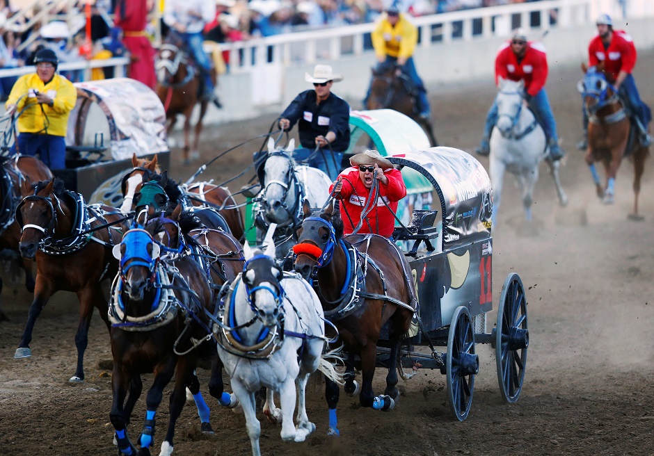 Darcy Flad leads in the field home while racing his team in the third heat in the chuckwagon races during the Calgary Stampede in Calgary,Canada:REUTERS