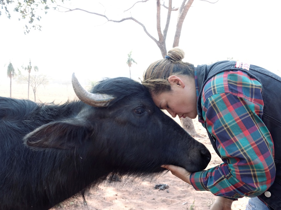 Farmer Viviana Aguilar reacts with a young buffalo at the Esperanza ranch in the area where wildfires have destroyed hectares of forest near Robore, Bolivia. PHOTO: REUTERS 