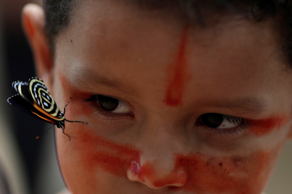An Indigenous boy from the Mura tribe tries to look for a butterfly in Itaparana village near Humaita, Amazonas State, Brazil. PHOTO: REUTERS 