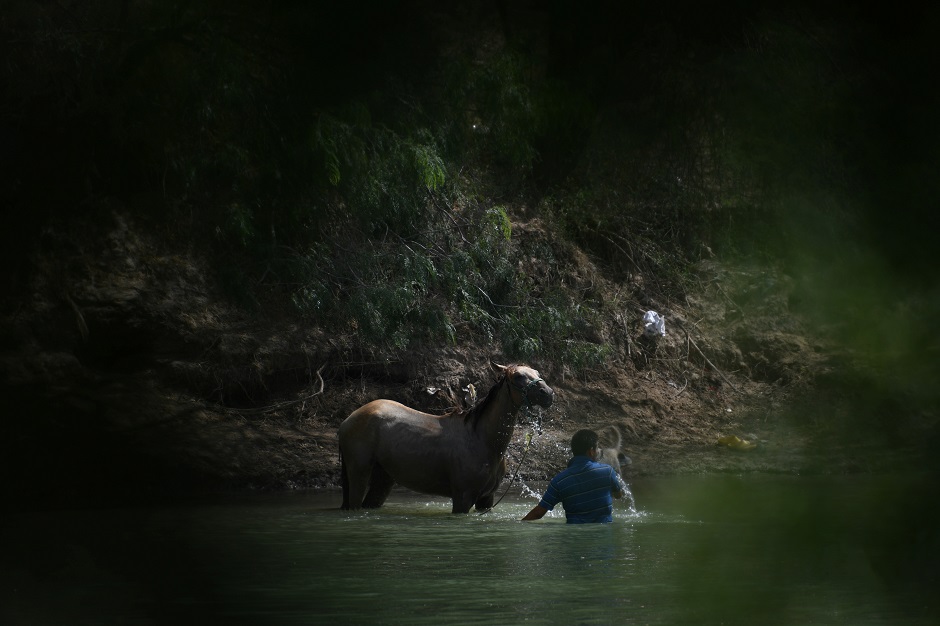 A man bathes a horse on the Mexican side of the Rio Grande as seen from the US side near Mission. PHOTO: REUTERS  