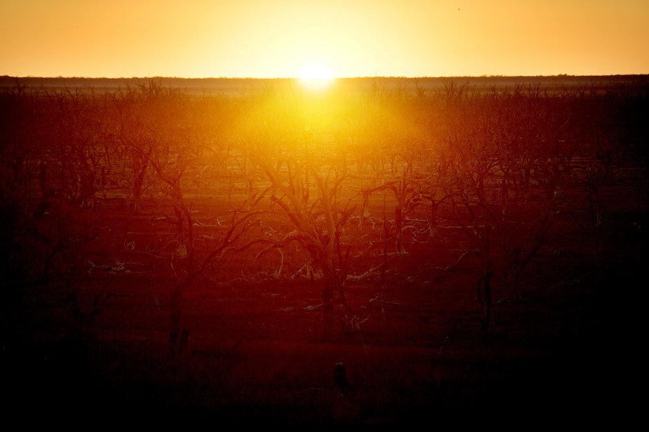 The sun rises over dried up lake Pamamaroo, outside of Menindee. PHOTO: REUTERS