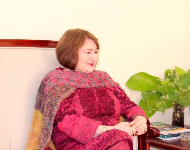nausheen named new fbr chairperson nausheen named new fbr chairperson
