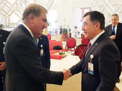 qureshi urges joint efforts against virus from sco platform qureshi urges joint efforts against virus from sco platform