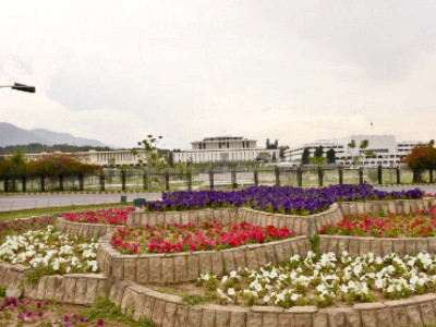 no one to smell spring flowers in capital no one to smell spring flowers in capital