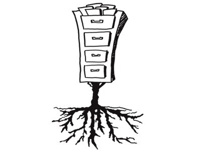 agro farming schemes city elites persevere in their violations of cda bylaws agro farming schemes city elites persevere in their violations of cda bylaws