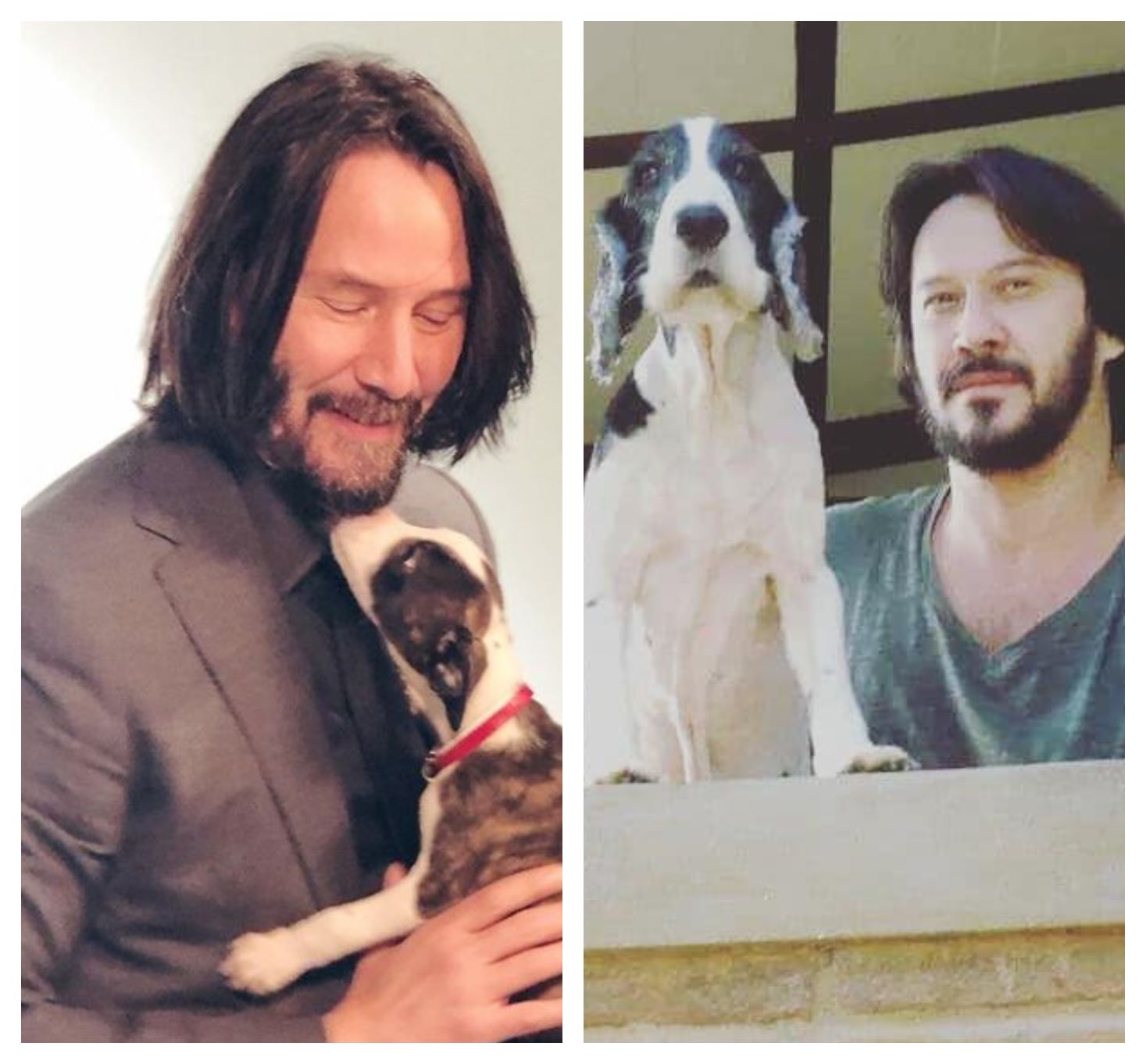 i am single and looking like keanu reeves really helps