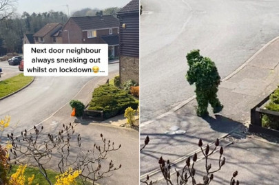 watch covidiot dresses as a bush to sneak out during lock down
