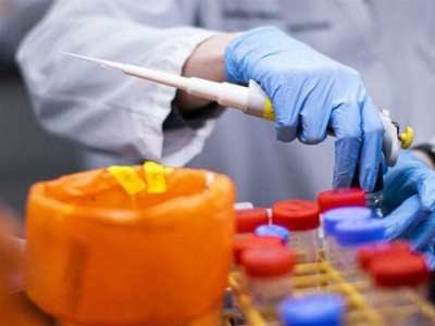 sindh govt trying to increase daily coronavirus testing capacity sindh govt trying to increase daily coronavirus testing capacity