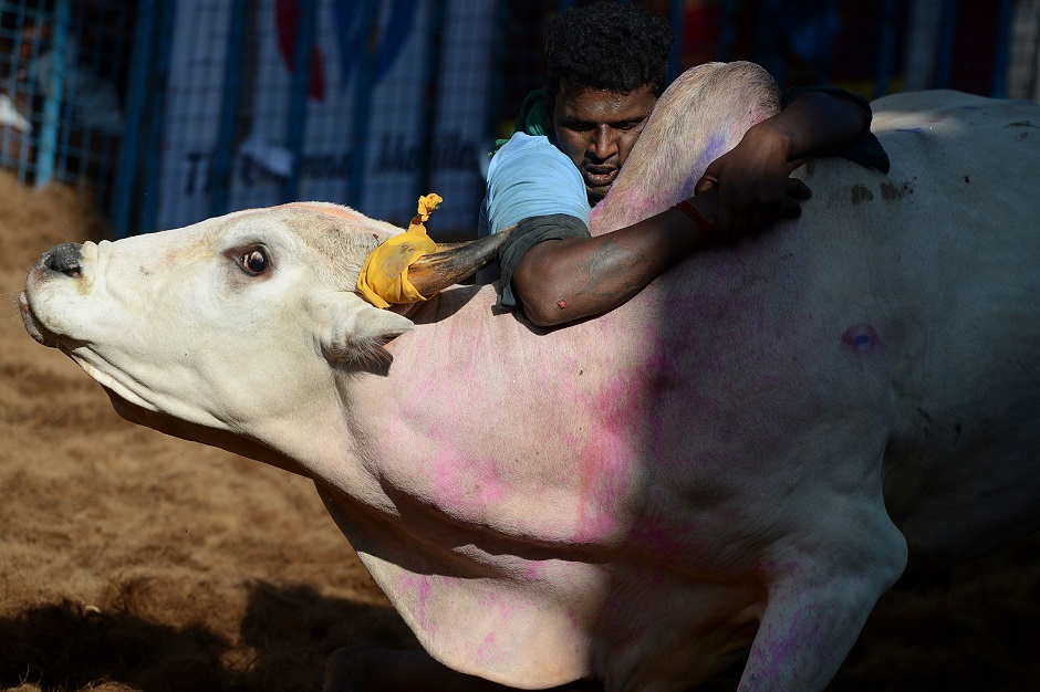 PHOTO: AFP