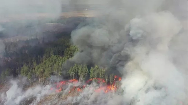 an aerial view shows a forest fire in the 30 km 19 miles exclusion zone around the chernobyl nuclear power plant ukraine april 12 2020 in this still picture taken from video video taken april 12 2020 photo reuters an aerial view shows a forest fire in the 30 km 19 miles exclusion zone around the chernobyl nuclear power plant ukraine april 12 2020 in this still picture taken from video video taken april 12 2020 photo reuters