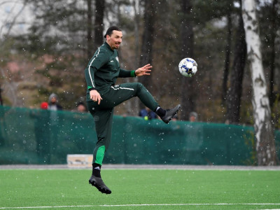 zlatan fever hits hammarby as striker trains with club again