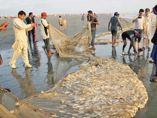 sops have been issued for buying selling and general sanitation of the harbour photo file