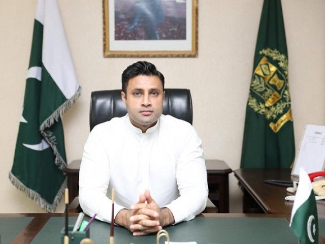 special assistant to the prime minister on overseas pakistanis and human resource development sayed zulfikar abbas bukhari photo pid file