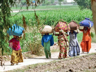 punjab leads in household income punjab leads in household income