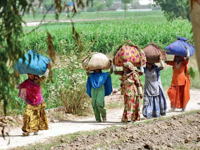 the review showed that economic disparity between the lowest income group and the highest income group fell marginally photo file the review showed that economic disparity between the lowest income group and the highest income group fell marginally photo file