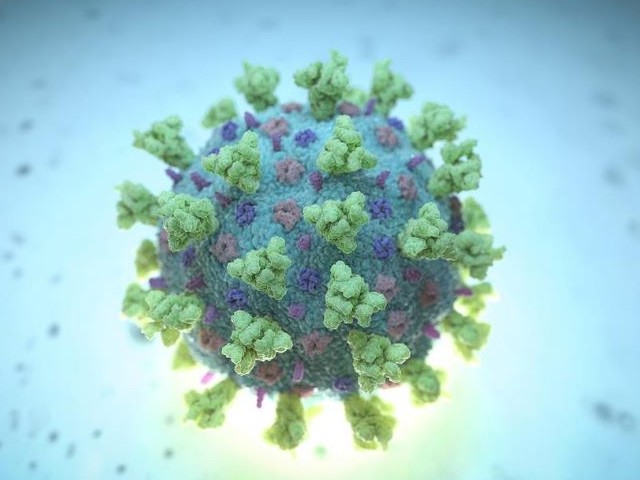 a computer image created by nexu science communication together with trinity college in dublin shows a model structurally representative of a betacoronavirus which is the type of virus linked to covid 19 better known as the coronavirus linked to the wuhan outbreak shared with reuters photo reuters file