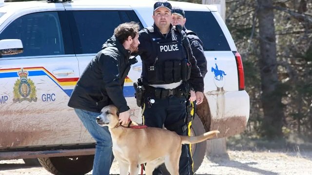 rcmp officer cedric landry releases a dog to a man at the checkpoint onto portapique beach road after gabriel wortman a suspected shooter was taken into custody in portapique nova scotia canada photo reuters